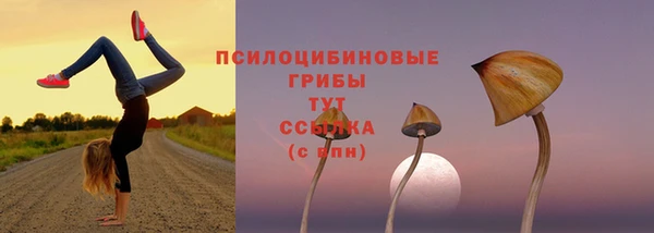 MESCALINE Алзамай