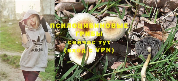 MESCALINE Алзамай