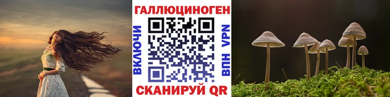 Галлюциногенные грибы GOLDEN TEACHER  Каргат 
